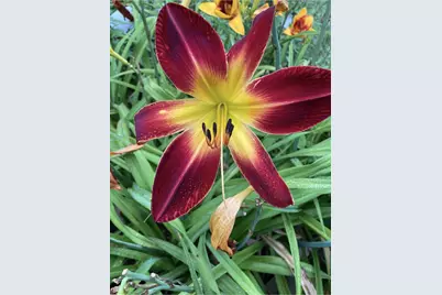 1054 Wilhelmina Drive, Vandalia, OH 45377 - Photo 43