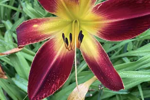 1054 Wilhelmina Dr, Vandalia, OH 45377 - Photo 43