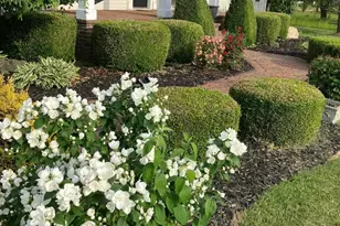 7422 Staeger Rd, Celina, OH 45822 - Photo 23