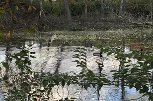 862 Brendle Trce, Springfield, OH 45503 - Photo 35