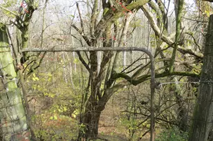 6100 E State Route 29, Sidney, OH 45365 - Photo 65