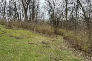 1650 Cranbrook Dr, New Carlisle, OH 45344 - Photo 69