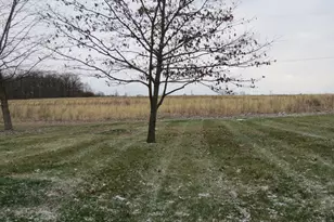 1100 Stephens Rd, Sidney, OH 45365 - Photo 15