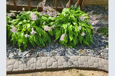 106 W Spring Street, New Knoxville, OH 45871 - Photo 3