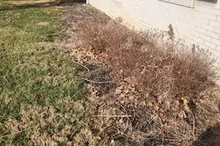 724 Eaton Richmond Pike, Eaton, OH 45320 - Photo 65