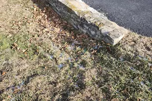 724 Eaton Richmond Pike, Eaton, OH 45320 - Photo 63