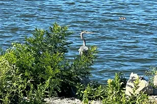 8312 Ohio 366, Russells Point, OH 43348 - Photo 13