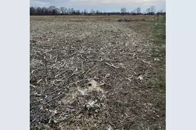 7710 N Bollinger Road, Conover, OH 45317 - Photo 63