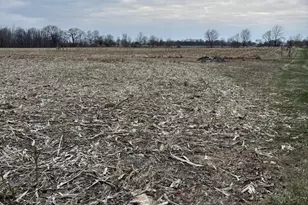 7710 N Bollinger Rd, Conover, OH 45317 - Photo 63