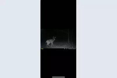 0 Kite Road, Saint Paris, OH 43072 - Photo 67