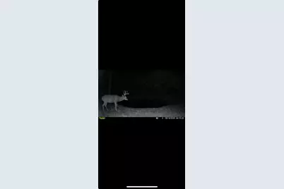 0 Kite Road, Saint Paris, OH 43072 - Photo 59