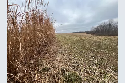 0 Kite Road, Saint Paris, OH 43072 - Photo 33