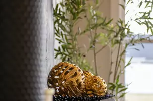 3005 Seminole Way, Piqua, OH 45356 - Photo 59