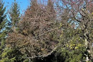 5411 Terre Haute Rd, Urbana, OH 43078 - Photo 9