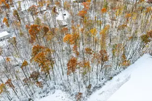 14333 Meranda Rd, Anna, OH 45302 - Photo 89