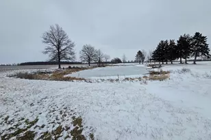 17674 Moulton-Ft Amanda Rd, Wapakoneta, OH 45895 - Photo 29