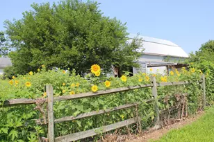 9660 Co Rd 66A, New Bremen, OH 45869 - Photo 7