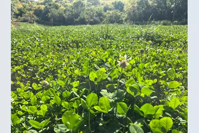 0 Township Hwy 127, Zanesfield, OH 43360 - Photo 23