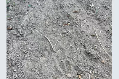 0 Township Hwy 127, Zanesfield, OH 43360 - Photo 19