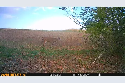 0 Township Hwy 127, Zanesfield, OH 43360 - Photo 29