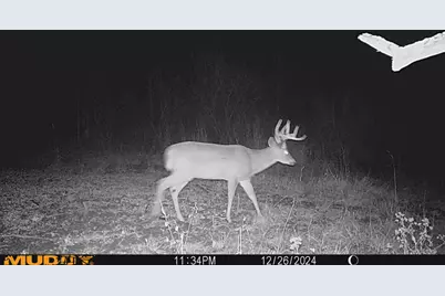 0 Township Hwy 127, Zanesfield, OH 43360 - Photo 31