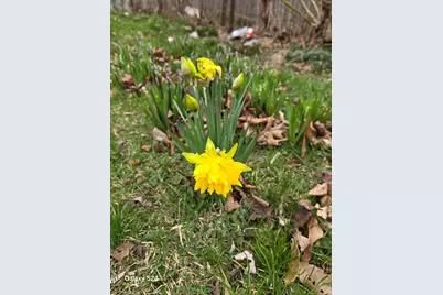 727 W High Street, Springfield, OH 45506 - Photo 23