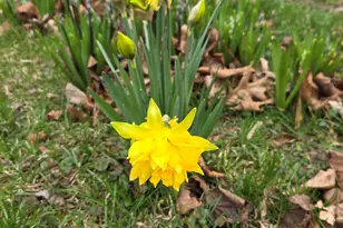 727 W High St, Springfield, OH 45506 - Photo 23