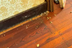 6404 Township Rd 55, Bellefontaine, OH 43311 - Photo 7