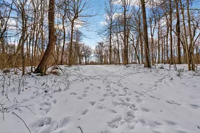 0 Township Road 55, Bellefontaine, OH 43311 - Photo 19