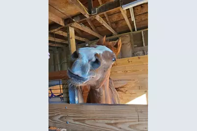 4505 N Alcony Conov Road, Casstown, OH 45312 - Photo 31