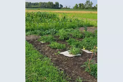 4505 N Alcony Conov Road, Casstown, OH 45312 - Photo 37