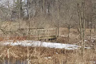 16775 Hunnicut Rd, Cambridge City, IN 47327 - Photo 33