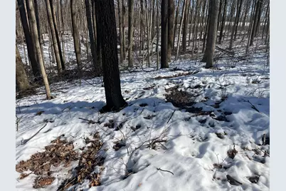 0 County Road 5, Zanesfield, OH 43360 - Photo 41