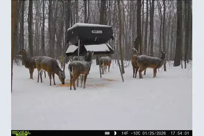 0 County Road 5, Zanesfield, OH 43360 - Photo 115