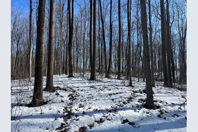 0 County Road 5, Zanesfield, OH 43360 - Photo 39