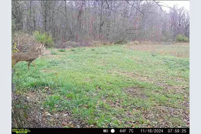 0 County Road 5, Zanesfield, OH 43360 - Photo 89