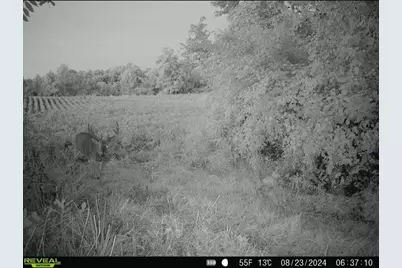 0 County Road 5, Zanesfield, OH 43360 - Photo 103