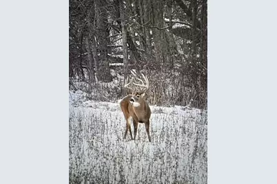 0 County Road 5, Zanesfield, OH 43360 - Photo 81