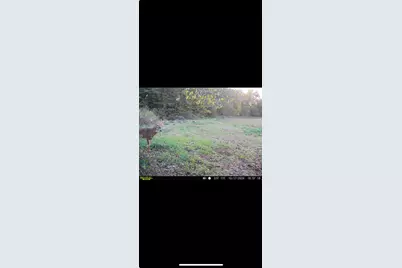 0 County Road 5, Zanesfield, OH 43360 - Photo 133