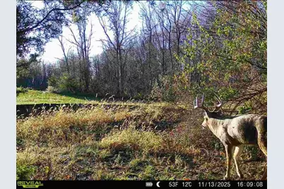 0 County Road 5, Zanesfield, OH 43360 - Photo 97