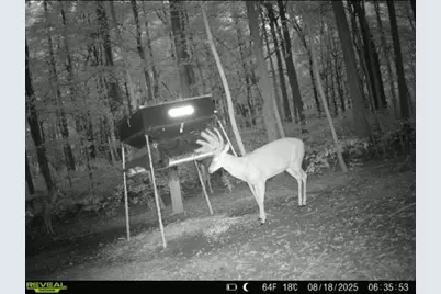 0 County Road 5, Zanesfield, OH 43360 - Photo 119