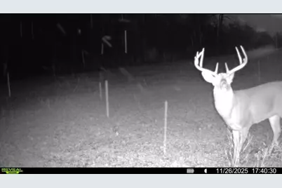 0 County Road 5, Zanesfield, OH 43360 - Photo 109