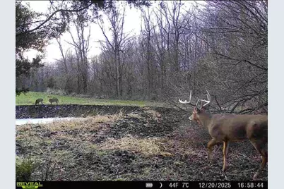 0 County Road 5, Zanesfield, OH 43360 - Photo 93