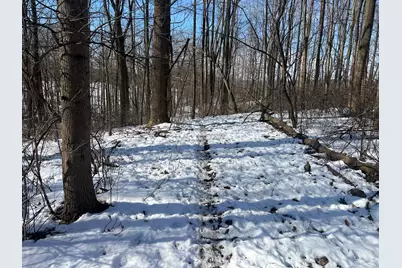 0 County Road 5, Zanesfield, OH 43360 - Photo 47