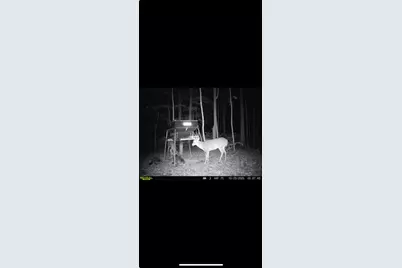 0 County Road 5, Zanesfield, OH 43360 - Photo 123