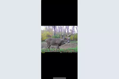 0 County Road 5, Zanesfield, OH 43360 - Photo 99