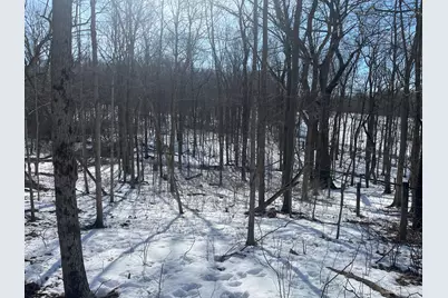 0 County Road 5, Zanesfield, OH 43360 - Photo 43