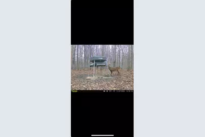 0 County Road 5, Zanesfield, OH 43360 - Photo 145