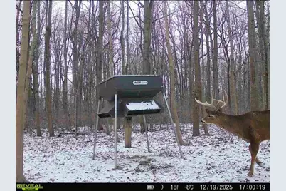 0 County Road 5, Zanesfield, OH 43360 - Photo 113