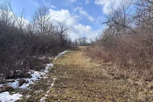 924 Eris Rd, Urbana, OH 43078 - Photo 17